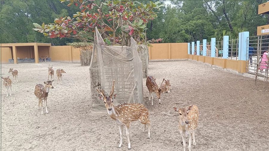 আরেক করমজল সুন্দরবনের ‘কালাবগী ইকো ট্যুরিজম’